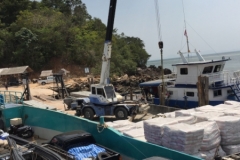 7014 19-3-19 crane