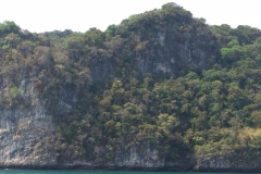 7017 19-3-19 view