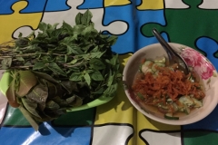 7027 20-3-19 meal