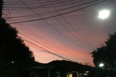 7033 20-3-19 sunrise