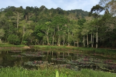 7037 20-3-19 pond