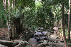7038 20-3-19 boulders
