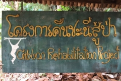 7039 20-3-19 gibbon rehab