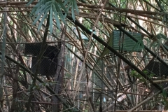 7041 20-3-19 gibbon rehab