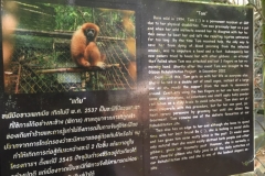 7048 20-3-19 gibbon rehab