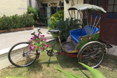 7055 20-3-19 tricycle