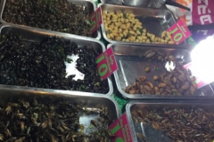 7069 20-3-19 stall
