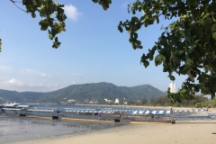 7095 21-3-19  beach