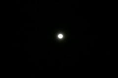 7138 22-3-19 moon