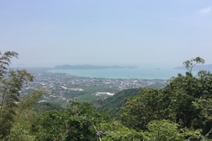 7152 23-3-19 view