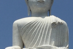 7153 23-3-19 Buddha