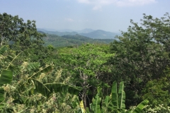 7161 23-3-19 view