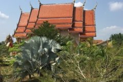 7210 24-3-19 roof