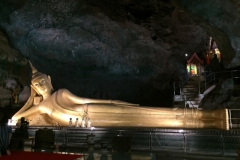 7229 24-3-19 reclining buddha
