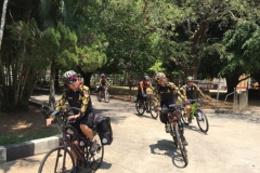 7231 24-3-19 peloton