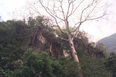 7240 24-3-19 cliff