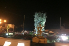 7242 24-3-19 statue