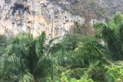 7256 25-3-19 cliff