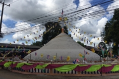 8135 2-5-19 bunting
