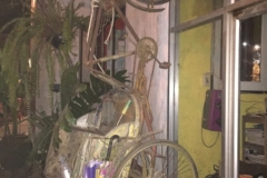8177 2-5-19 climbing bike