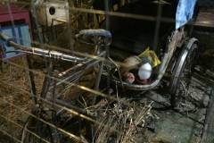8187 2-5-19  bike