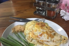 8196 3-5-19  meal