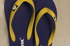 8207 4-5-19  flip flops