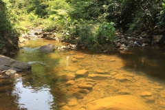 8212 4-5-19  river