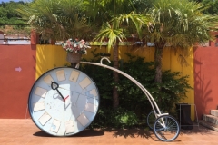 8249 5-5-19  flower bike