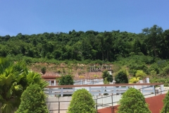 8250 5-5-19  view Trat