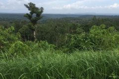 8281 7-5-19  view