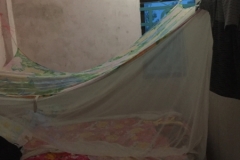 8286 8-5-19  mosquito net