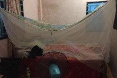 8287 8-5-19  mosquito net
