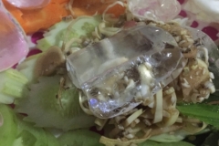8308 9-5-19  meal