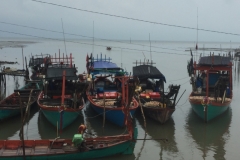 8318  10-5-19  boats