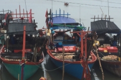 8319  10-5-19  boats