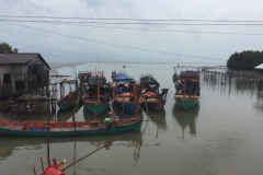 8320  10-5-19  boats