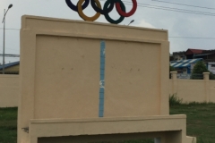 8333  11-5-19  olympic rings