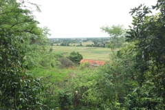 8355  12-5-19 view