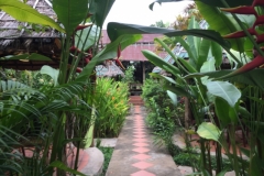 8362  12-5-19 path