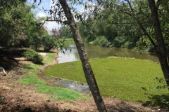 8388  15-5-19 river