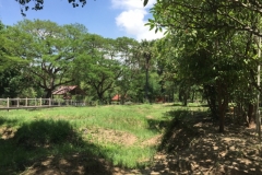8393  15-5-19 view
