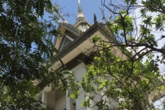 8411  15-5-19 spire