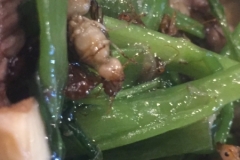 8480  20-5-19 beef with ants