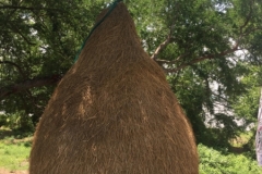 8510  23-5-19 straw structure