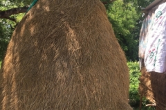 8511  23-5-19 straw structure