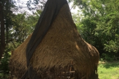 8512  23-5-19 straw structure
