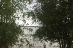 8518  23-5-19 view