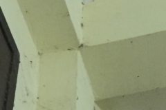 8525  23-5-19 bug