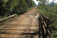 8593  27-5-19 path